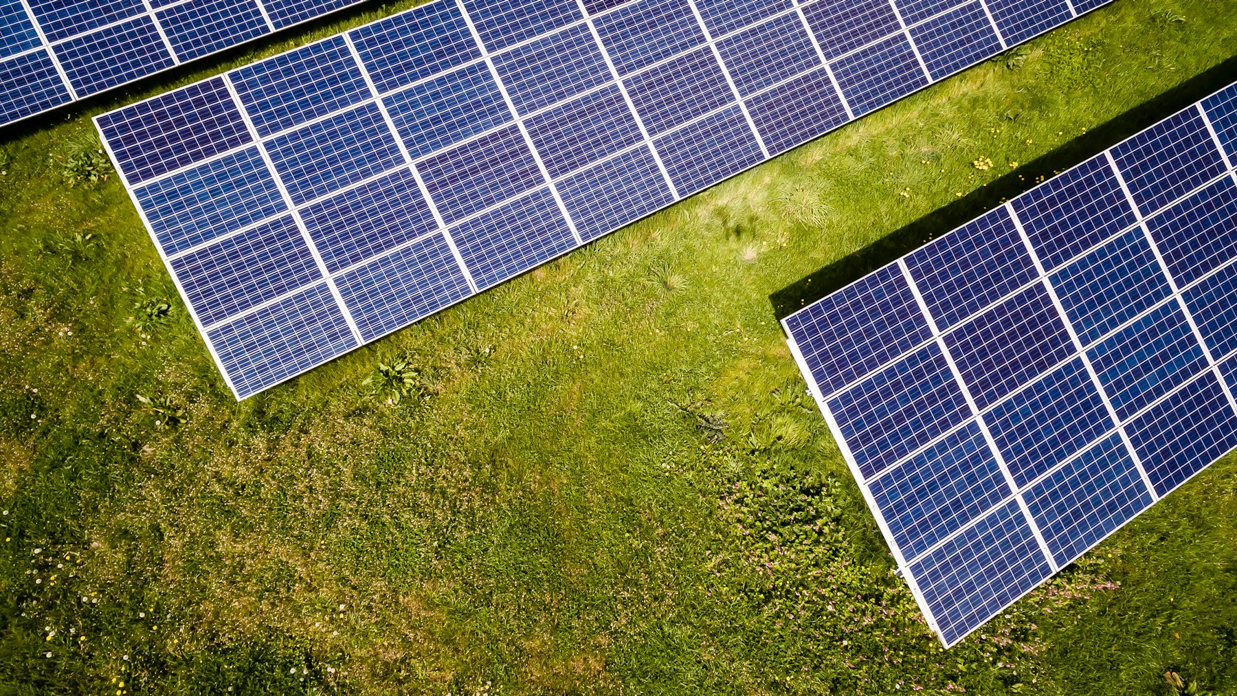 A real rooftop solar installation with rows of photovoltaic panels
